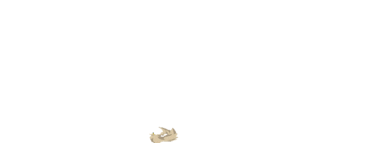 Logo BOBOHOKI